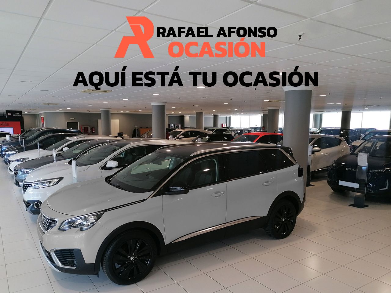 Foto Nissan Juke 17