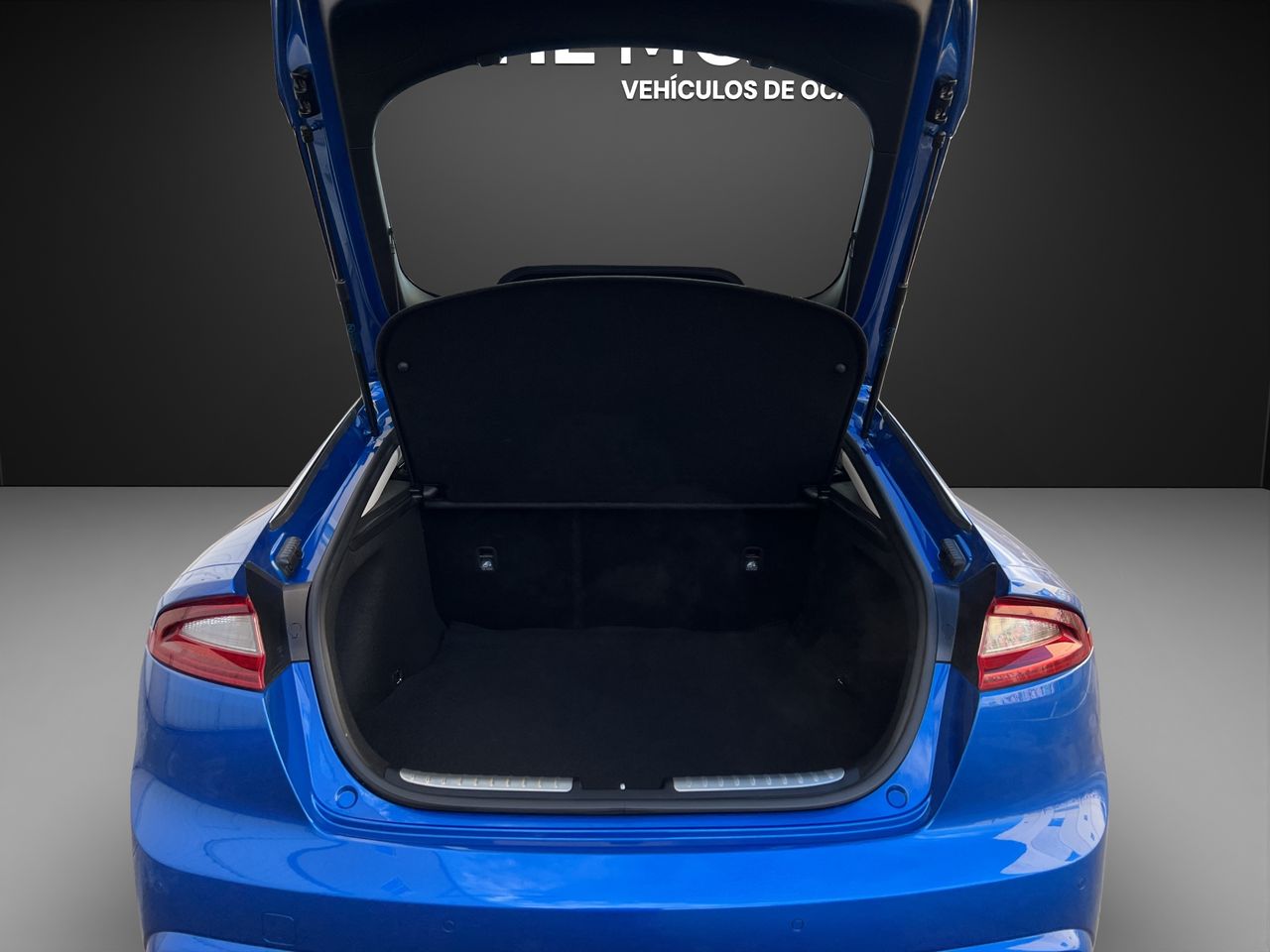 Foto Kia Stinger 20