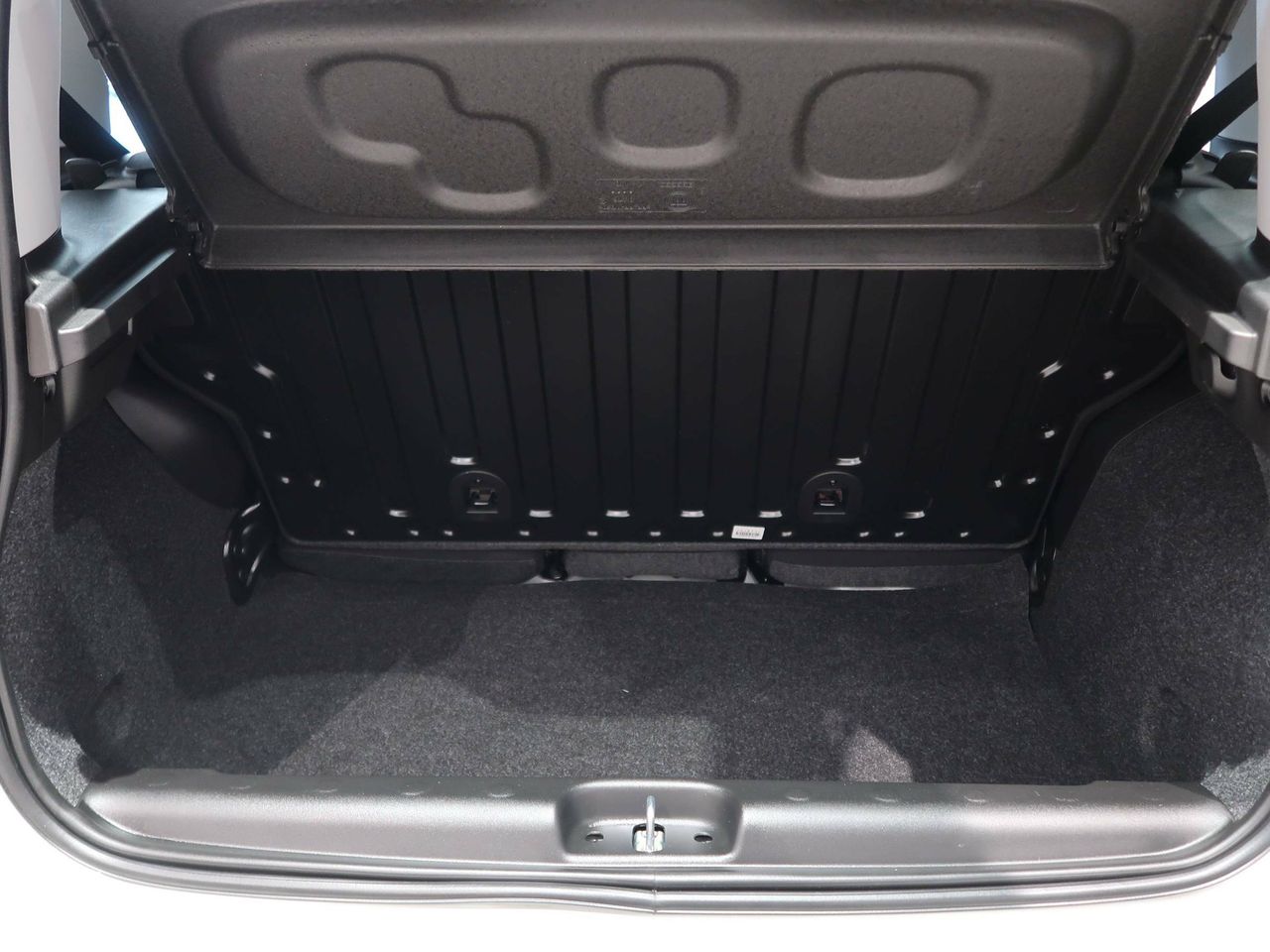 Foto Fiat Panda 5