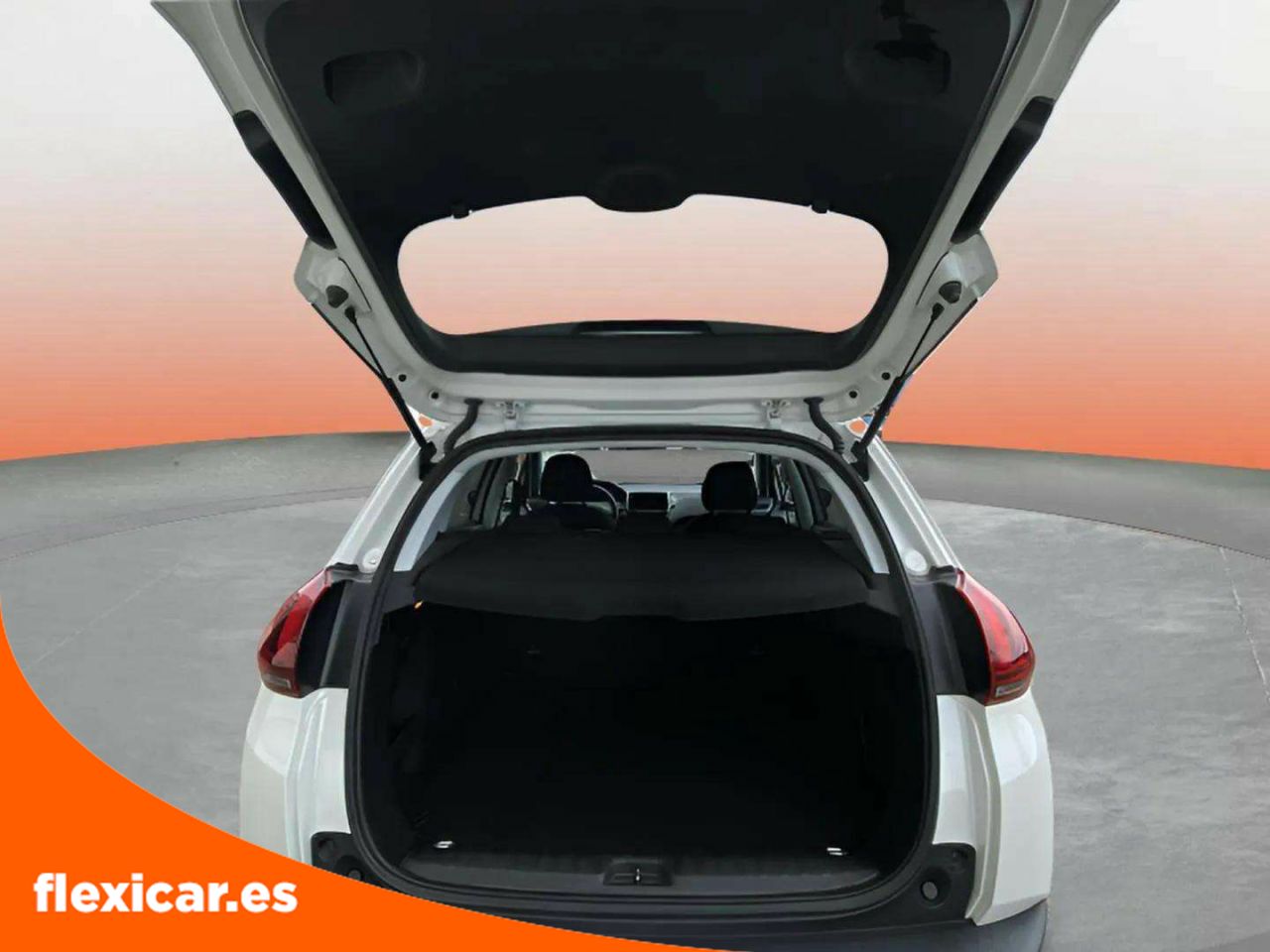 Foto Peugeot 2008 10