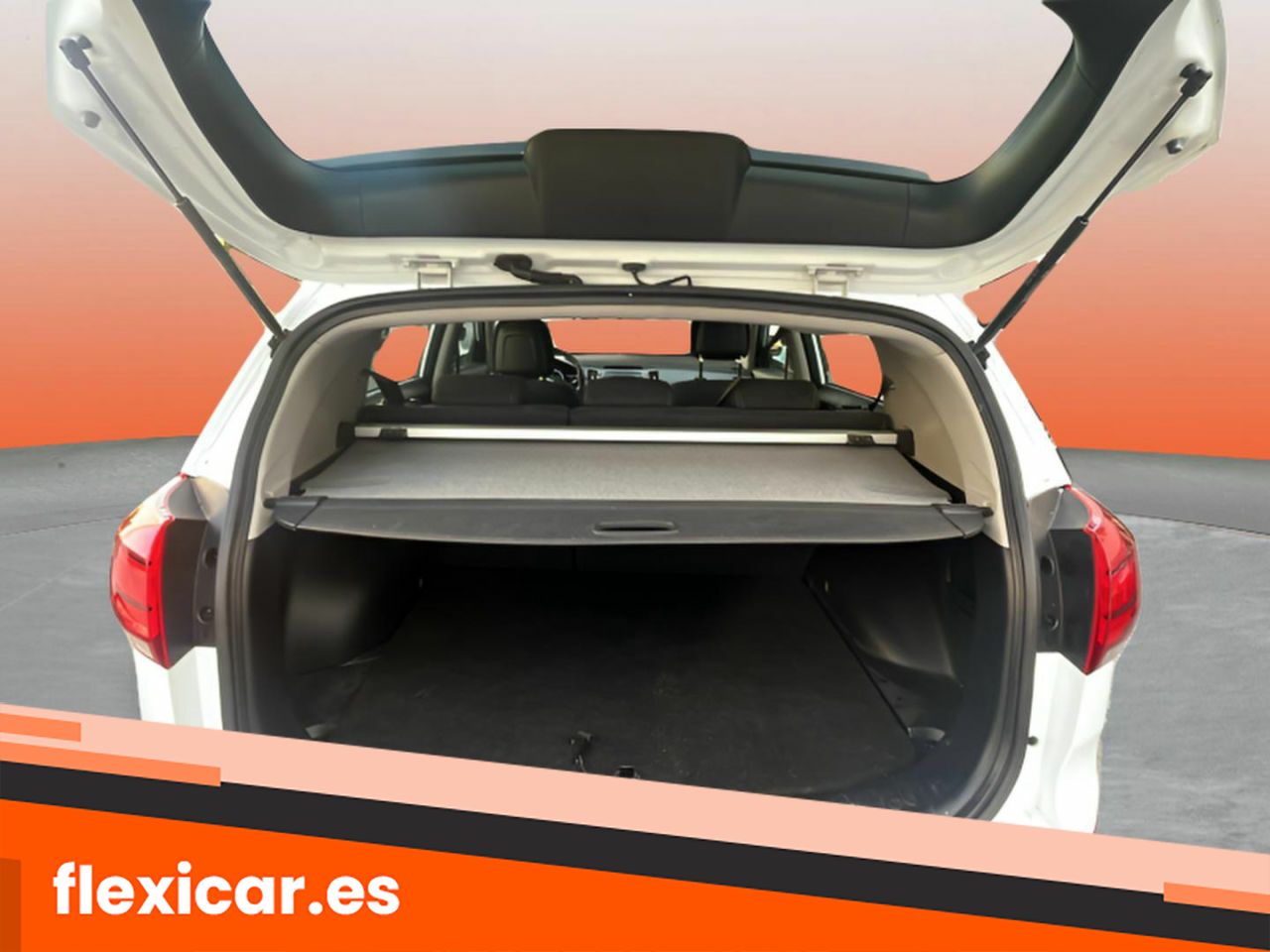 Foto Kia Sportage 9