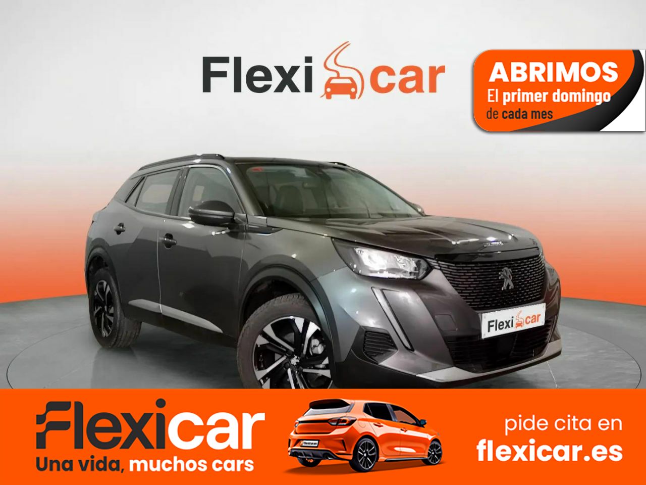 Foto Peugeot 2008 1