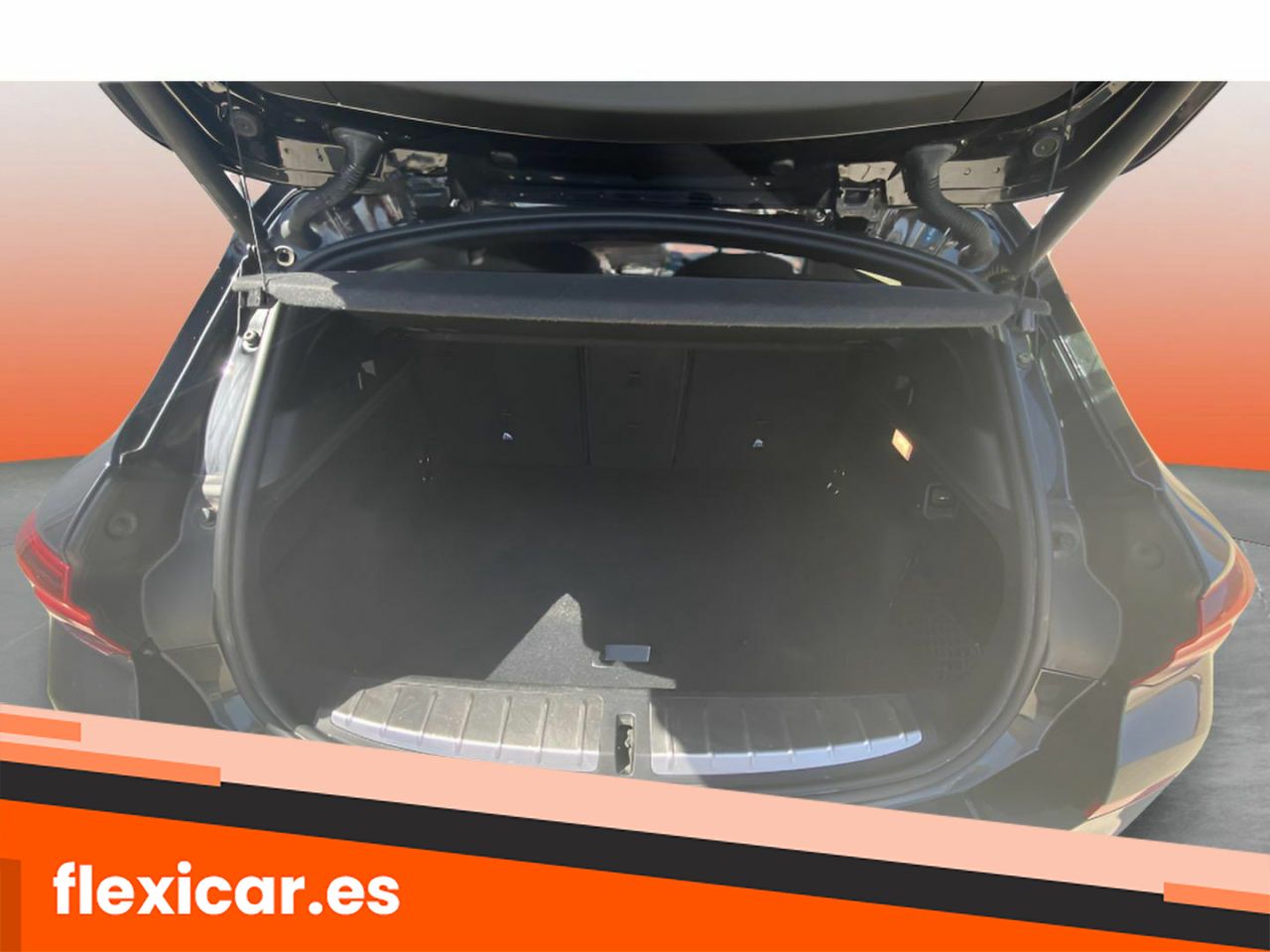 Foto BMW X2 10