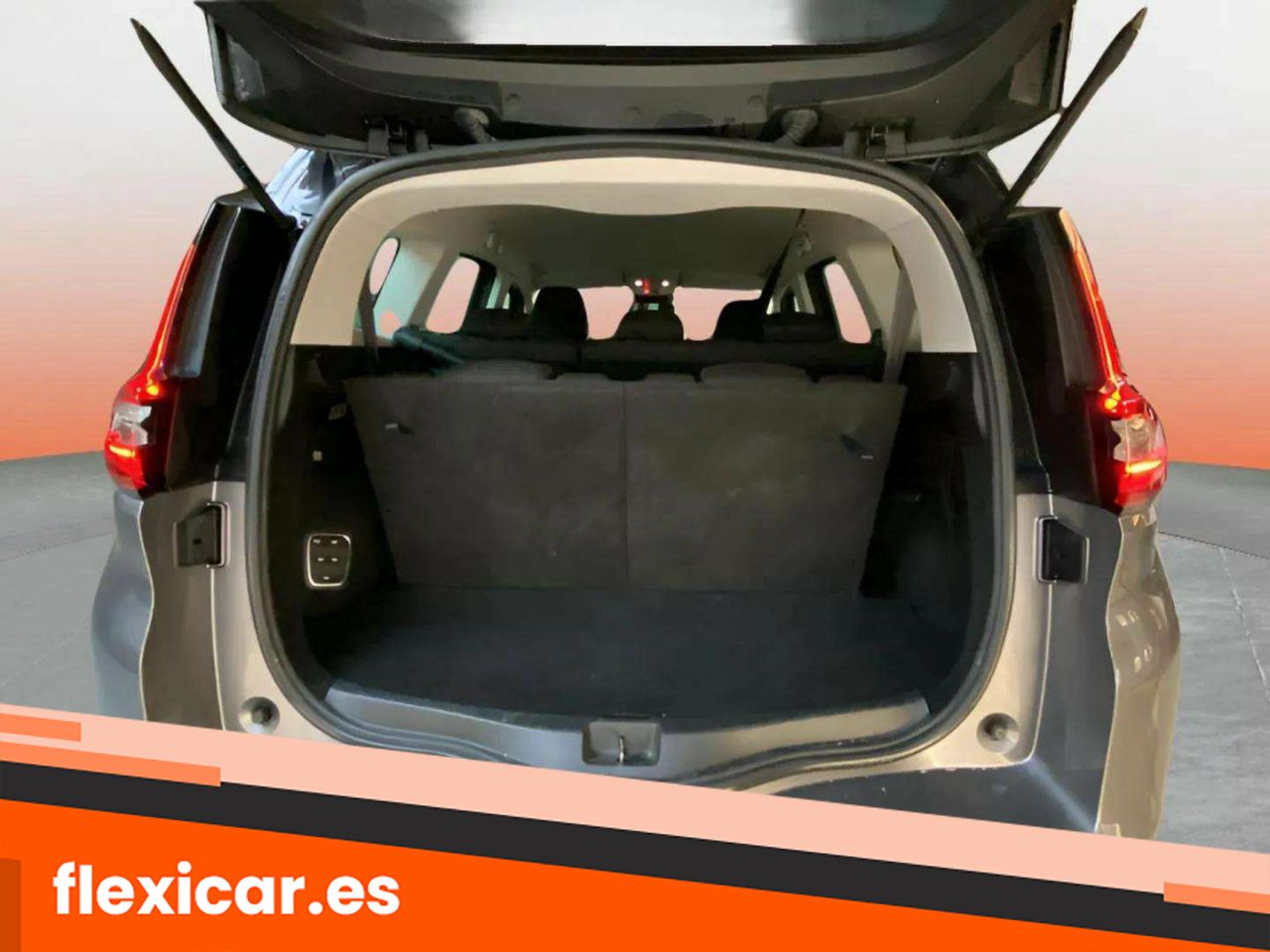 Foto Renault Grand Scénic 29