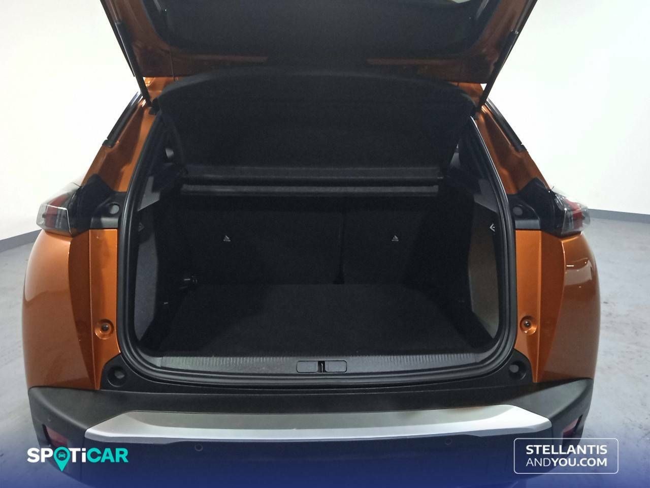 Foto Peugeot 2008 6