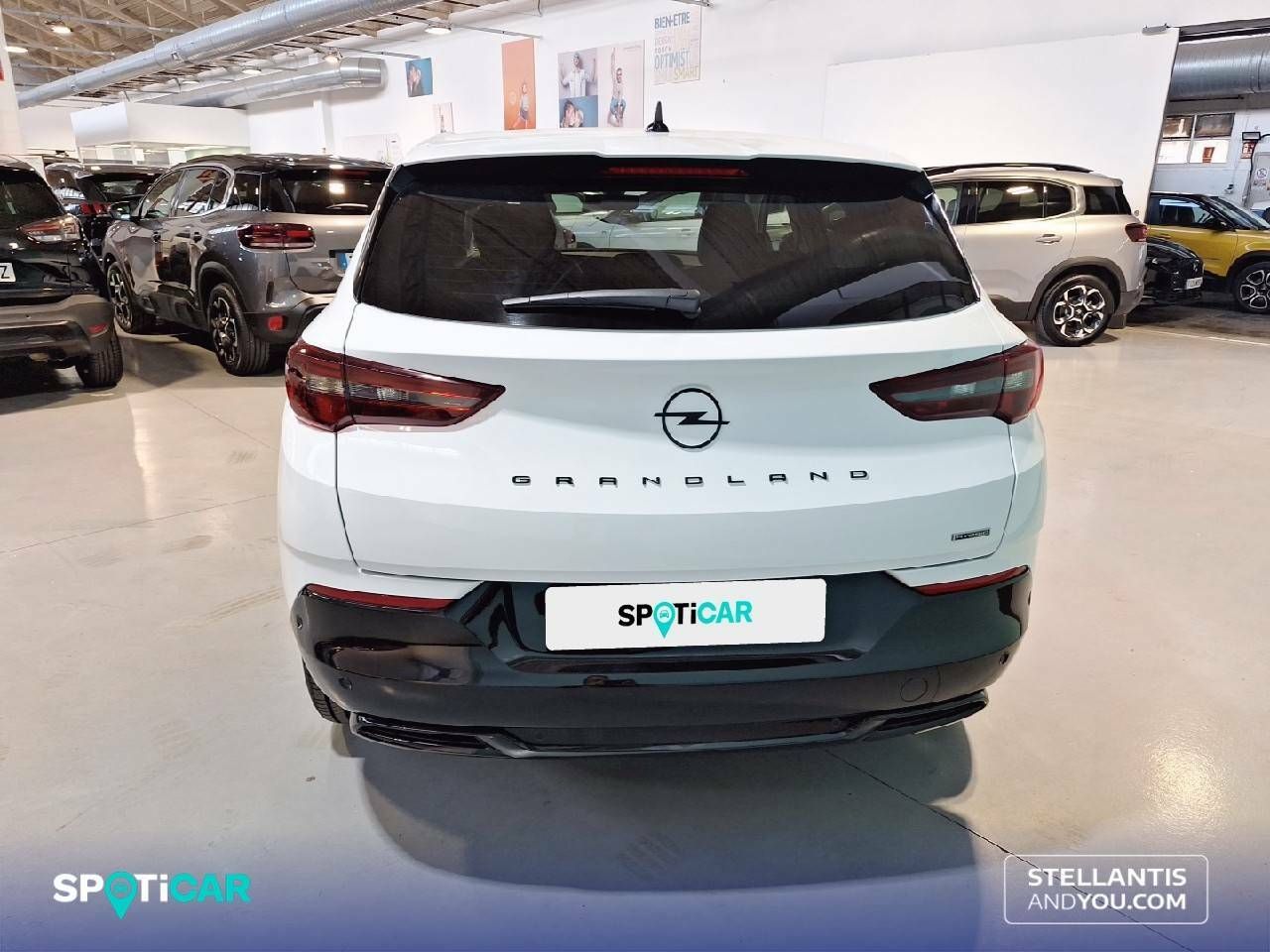 Foto Opel Grandland X 5