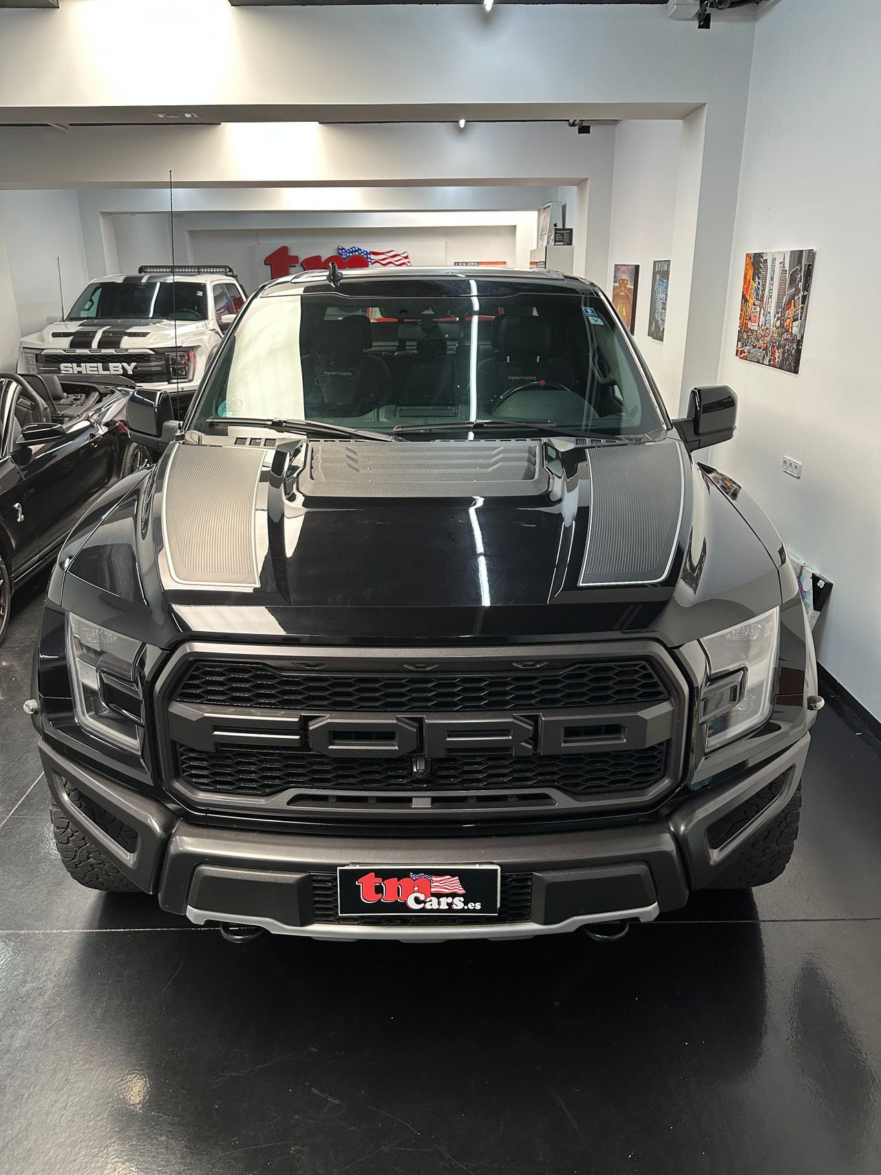 Foto Ford F-150 1