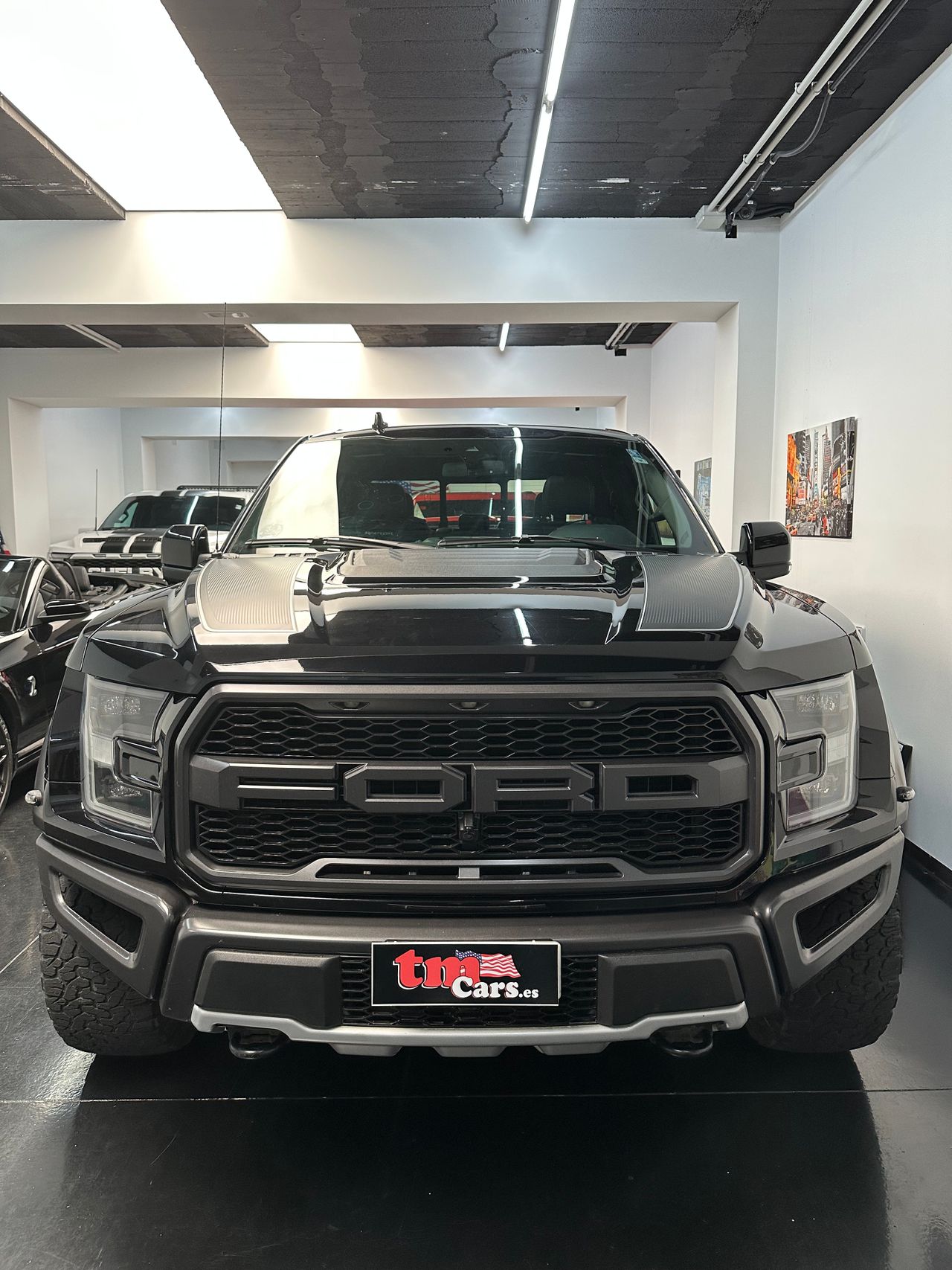 Foto Ford F-150 3