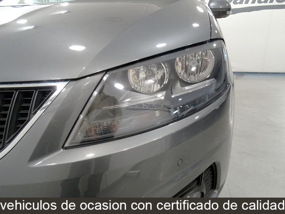 Foto Seat Alhambra 19